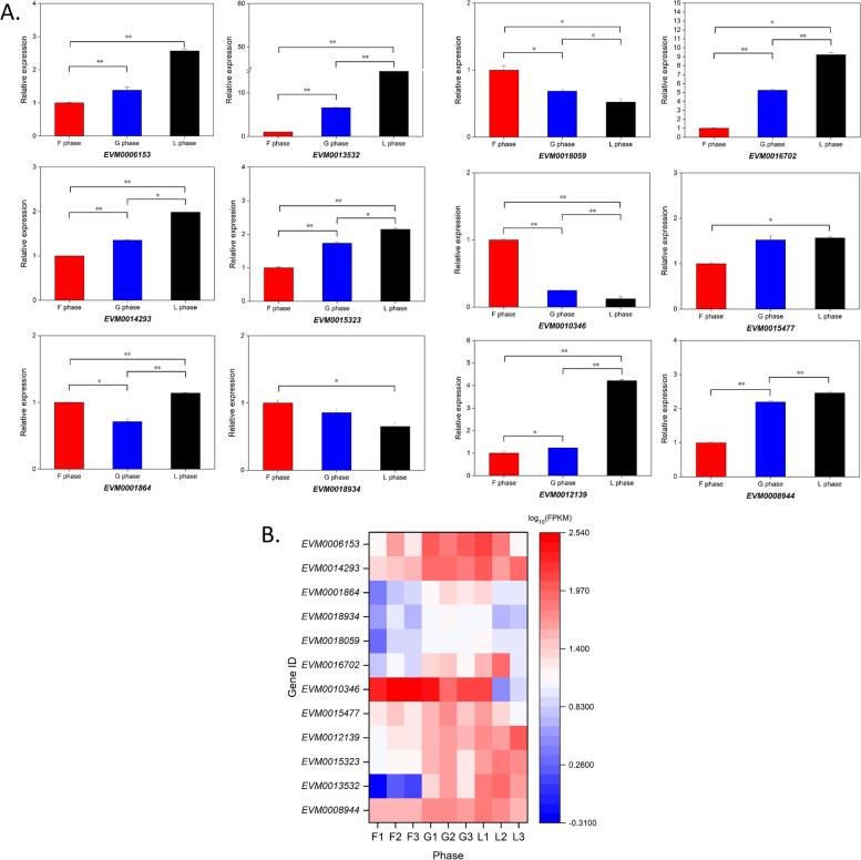 https://cdn.ncbi.nlm.nih.gov/pmc/blobs/d4c9/10111769/569d7dbd4a2d/12864_2023_9286_Fig10_HTML.jpg