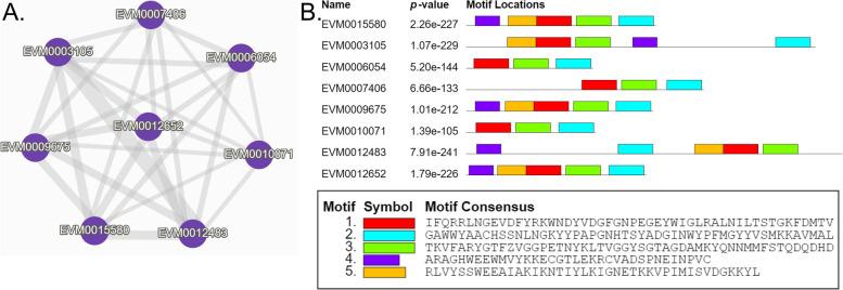 https://cdn.ncbi.nlm.nih.gov/pmc/blobs/d4c9/10111769/6ffc3387e5bd/12864_2023_9286_Fig9_HTML.jpg