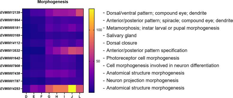 https://cdn.ncbi.nlm.nih.gov/pmc/blobs/d4c9/10111769/ab8f9f13add3/12864_2023_9286_Fig5_HTML.jpg