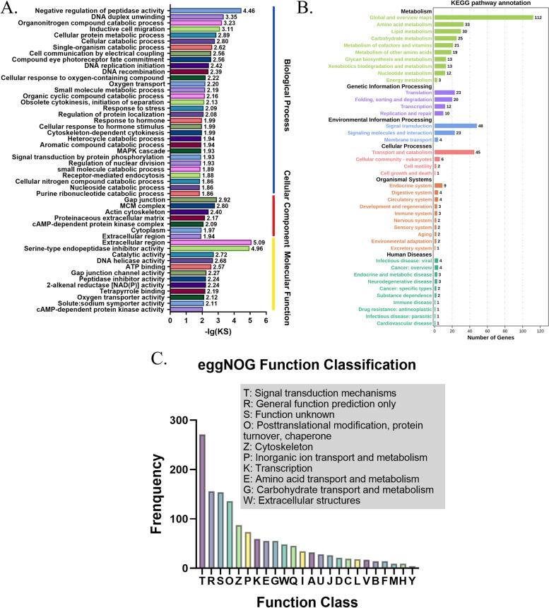 https://cdn.ncbi.nlm.nih.gov/pmc/blobs/d4c9/10111769/ca69a0c08191/12864_2023_9286_Fig4_HTML.jpg