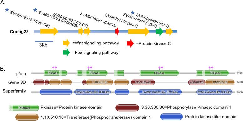 https://cdn.ncbi.nlm.nih.gov/pmc/blobs/d4c9/10111769/f27f33bbf7f5/12864_2023_9286_Fig7_HTML.jpg