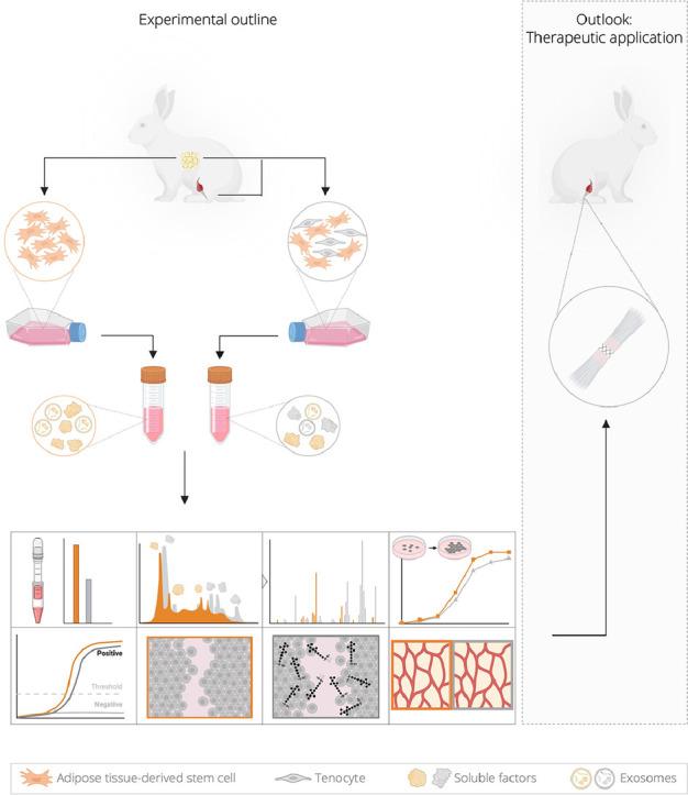 https://cdn.ncbi.nlm.nih.gov/pmc/blobs/d4c9/12246857/3991a32a0cfe/ga1.jpg