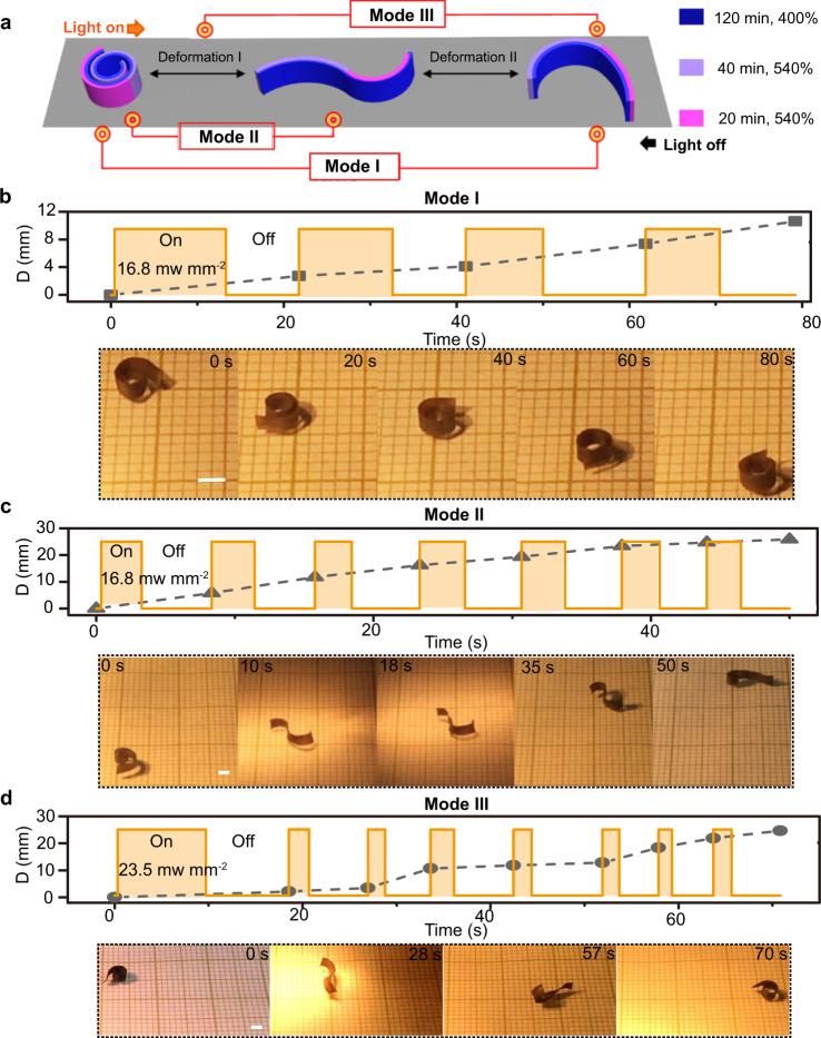 https://cdn.ncbi.nlm.nih.gov/pmc/blobs/d4c9/7840968/d3b1e8ba918c/41467_2021_20938_Fig5_HTML.jpg