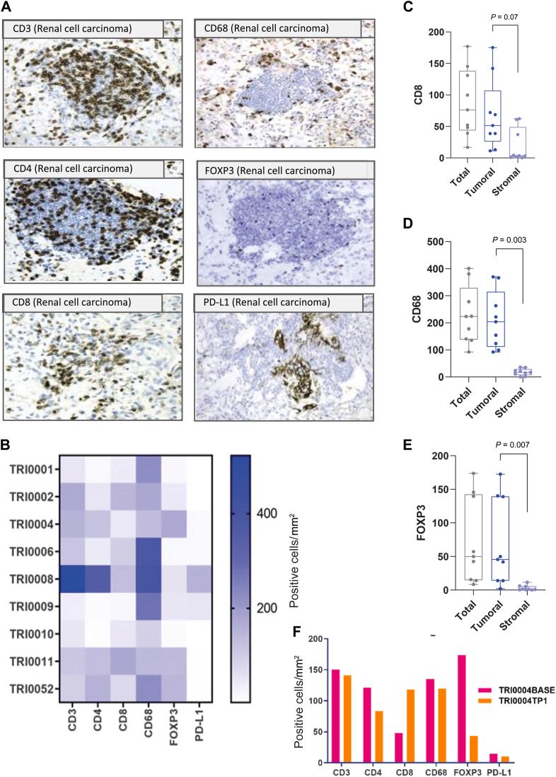 https://cdn.ncbi.nlm.nih.gov/pmc/blobs/d4cc/11059457/415f0a6d32e6/gr3.jpg