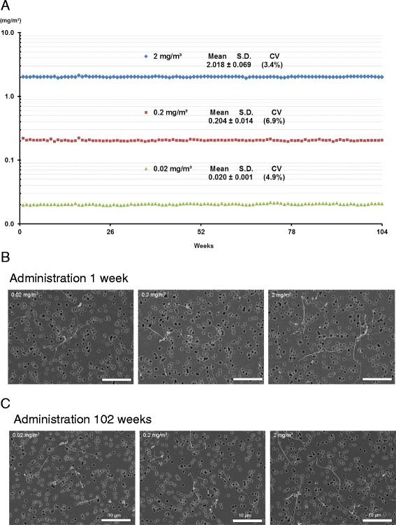 https://cdn.ncbi.nlm.nih.gov/pmc/blobs/d4cc/5064785/cbcd07681b1d/12989_2016_164_Fig1_HTML.jpg