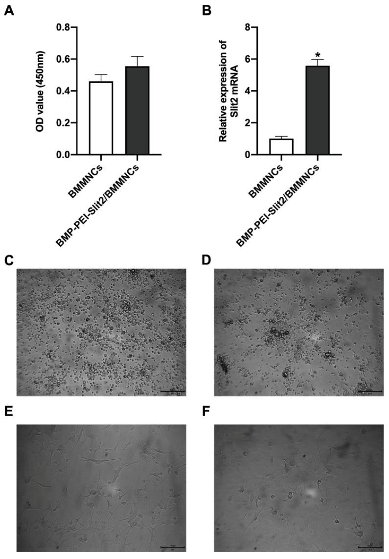 https://cdn.ncbi.nlm.nih.gov/pmc/blobs/d4ce/11373550/9e48d982528a/ijmsv21p2233g001.jpg