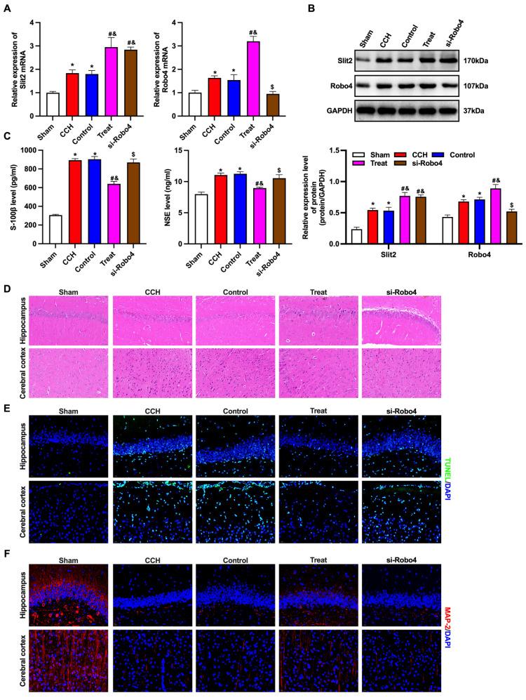 https://cdn.ncbi.nlm.nih.gov/pmc/blobs/d4ce/11373550/aa41c9924094/ijmsv21p2233g005.jpg