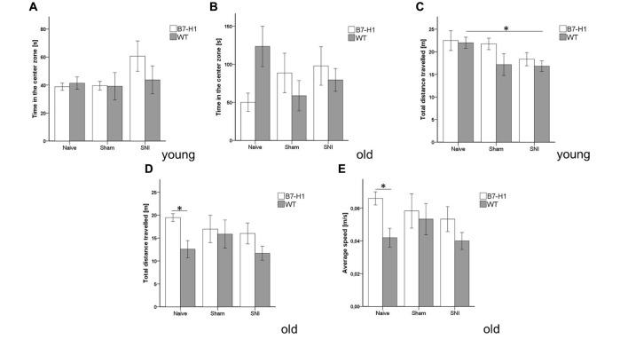 https://cdn.ncbi.nlm.nih.gov/pmc/blobs/d4d1/5504104/7a927fb18166/fnmol-10-00219-g0004.jpg