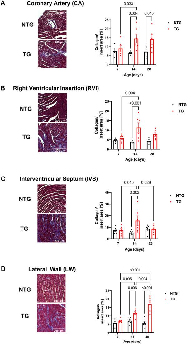 https://cdn.ncbi.nlm.nih.gov/pmc/blobs/d4d2/10102353/9d77e18e8fdd/fphys-14-1136852-g006.jpg