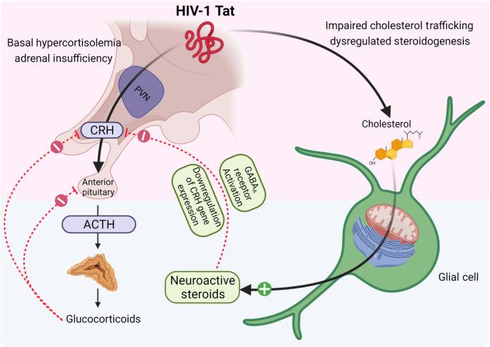 https://cdn.ncbi.nlm.nih.gov/pmc/blobs/d4d2/9135062/2e1942cb8000/JNE-34-e13047-g008.jpg