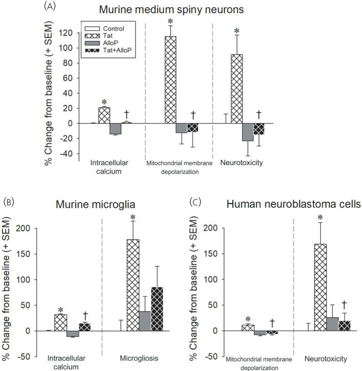 https://cdn.ncbi.nlm.nih.gov/pmc/blobs/d4d2/9135062/6aa90b948890/JNE-34-e13047-g006.jpg