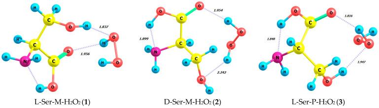https://cdn.ncbi.nlm.nih.gov/pmc/blobs/d4d4/11356864/d2fbe7badc28/molecules-29-03955-g005a.jpg