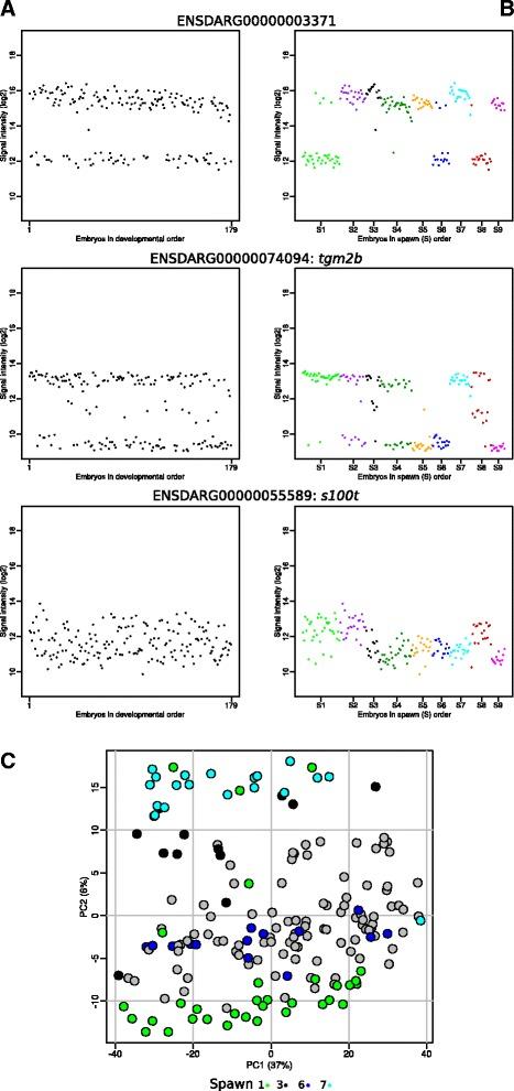 https://cdn.ncbi.nlm.nih.gov/pmc/blobs/d4d4/5387192/8afe220e4f5a/12864_2017_3672_Fig5_HTML.jpg