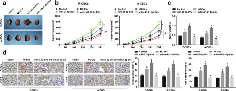 https://cdn.ncbi.nlm.nih.gov/pmc/blobs/d4d5/9343318/c32ff8ee6ab7/10565_2021_9597_Fig5_HTML.jpg