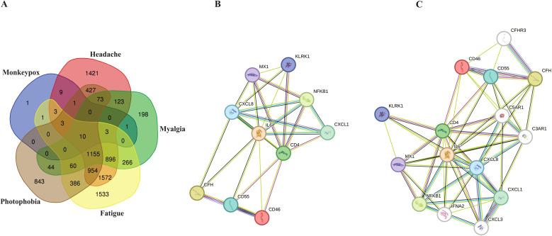 https://cdn.ncbi.nlm.nih.gov/pmc/blobs/d4d7/12263605/1b0a403c46ed/fcimb-15-1506687-g001.jpg