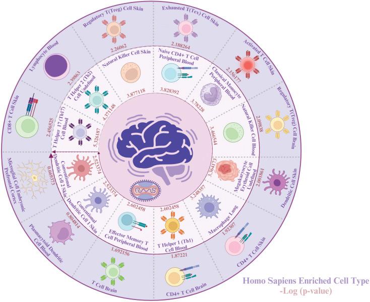 https://cdn.ncbi.nlm.nih.gov/pmc/blobs/d4d7/12263605/29c94e433423/fcimb-15-1506687-g008.jpg