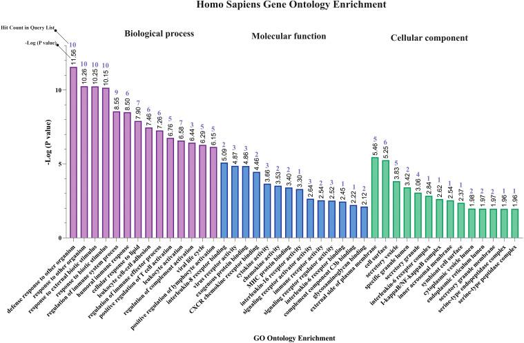 https://cdn.ncbi.nlm.nih.gov/pmc/blobs/d4d7/12263605/33666acca60e/fcimb-15-1506687-g002.jpg