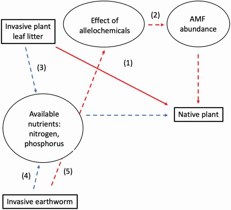https://cdn.ncbi.nlm.nih.gov/pmc/blobs/d4d7/7877696/e3c477faf383/plaa073_fig1.jpg