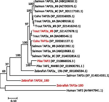 https://cdn.ncbi.nlm.nih.gov/pmc/blobs/d4d8/5824609/6185fb9d802f/12862_2018_1138_Fig4_HTML.jpg