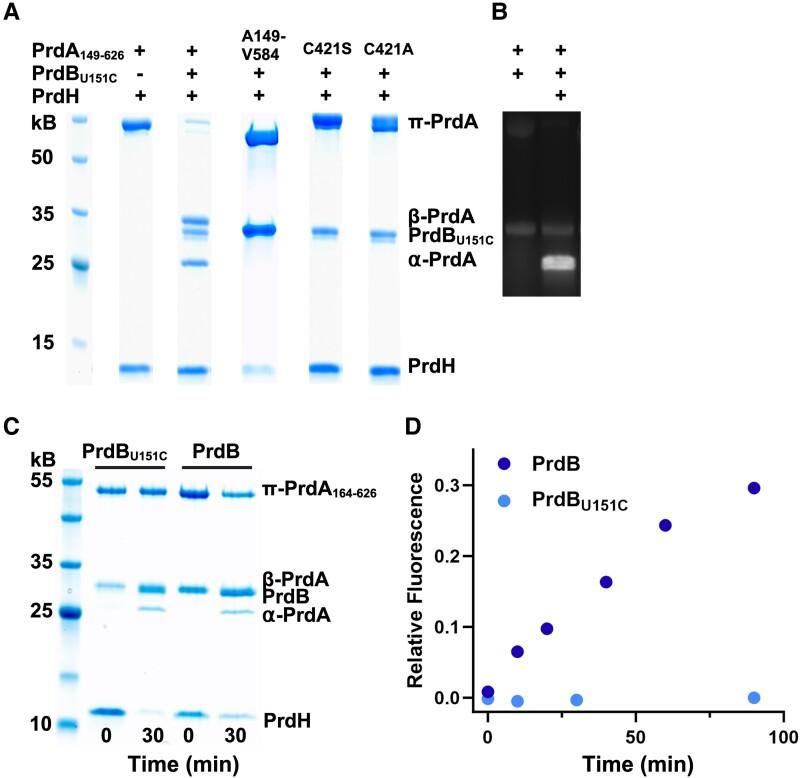 https://cdn.ncbi.nlm.nih.gov/pmc/blobs/d4d9/11229817/c27445429c1e/pgae249f4.jpg