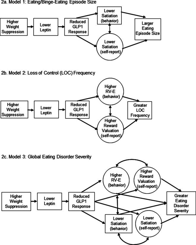 https://cdn.ncbi.nlm.nih.gov/pmc/blobs/d4db/12234017/09372daf7510/S0033291725100871_fig2.jpg