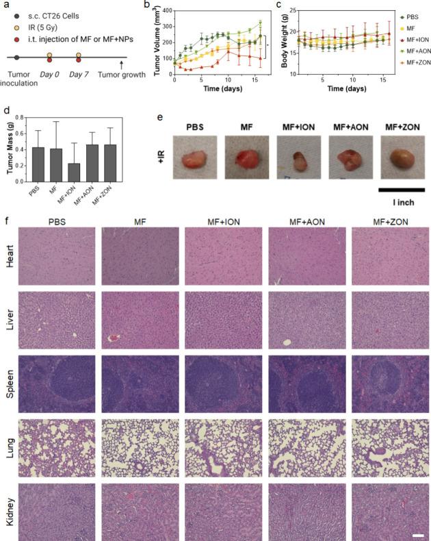 https://cdn.ncbi.nlm.nih.gov/pmc/blobs/d4de/11740999/41116d4677ef/bc4c00488_0005.jpg