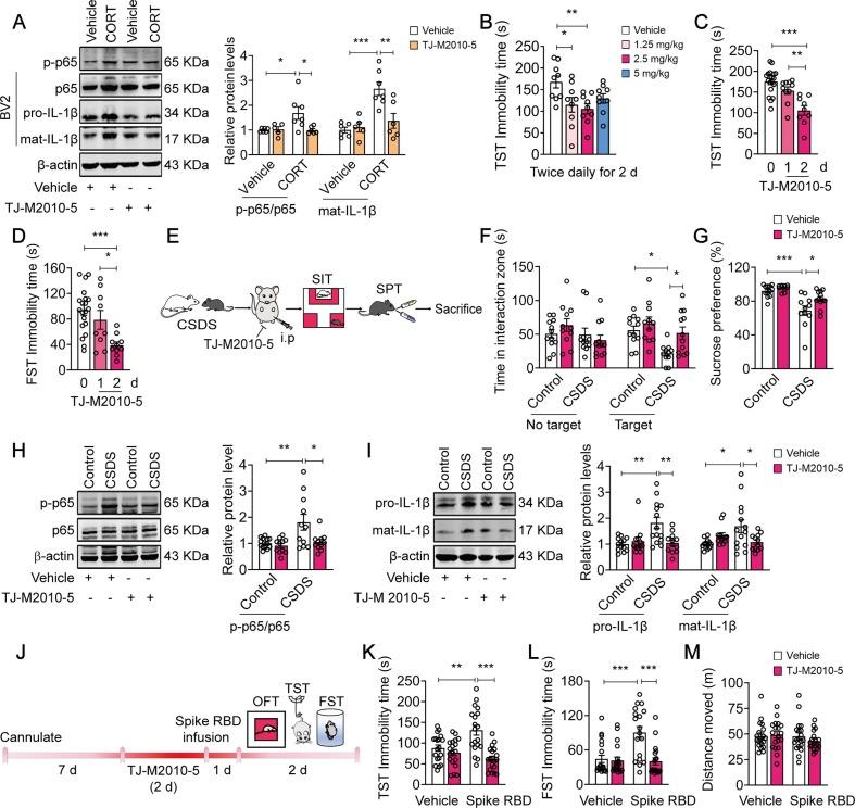 https://cdn.ncbi.nlm.nih.gov/pmc/blobs/d4e1/9726649/cd597393c024/gr7_lrg.jpg