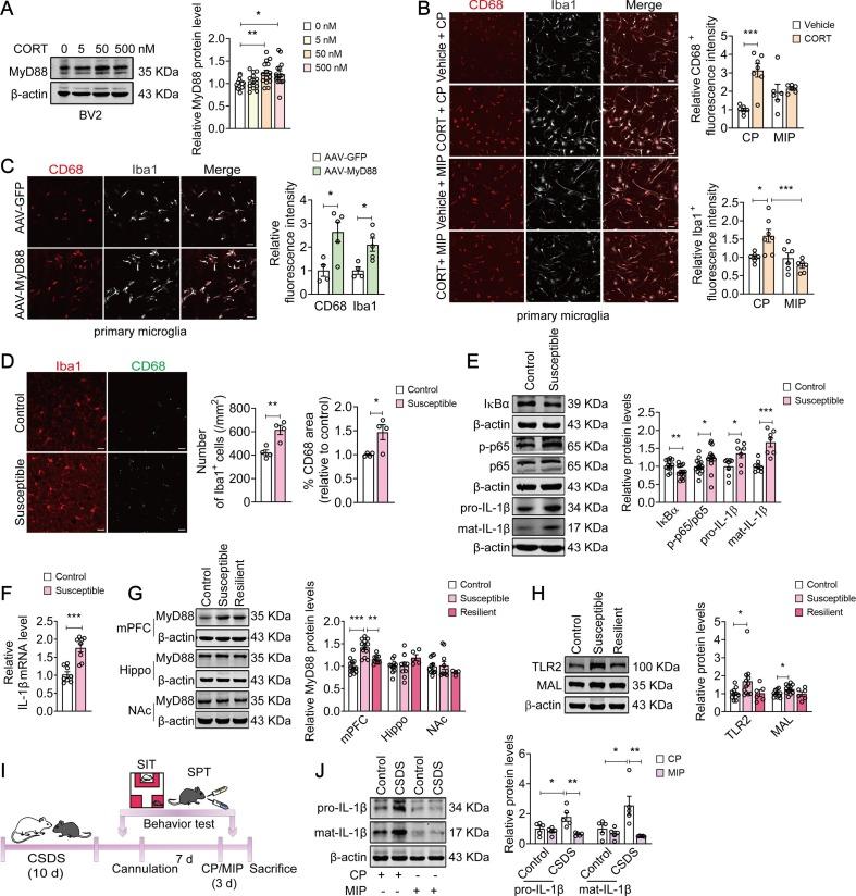 https://cdn.ncbi.nlm.nih.gov/pmc/blobs/d4e1/9726649/ef0a74a00d55/gr1_lrg.jpg
