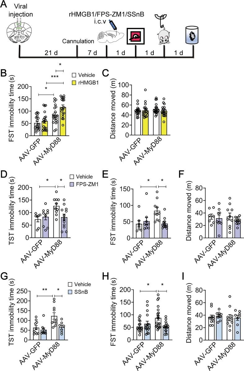 https://cdn.ncbi.nlm.nih.gov/pmc/blobs/d4e1/9726649/fb039e018398/gr3_lrg.jpg