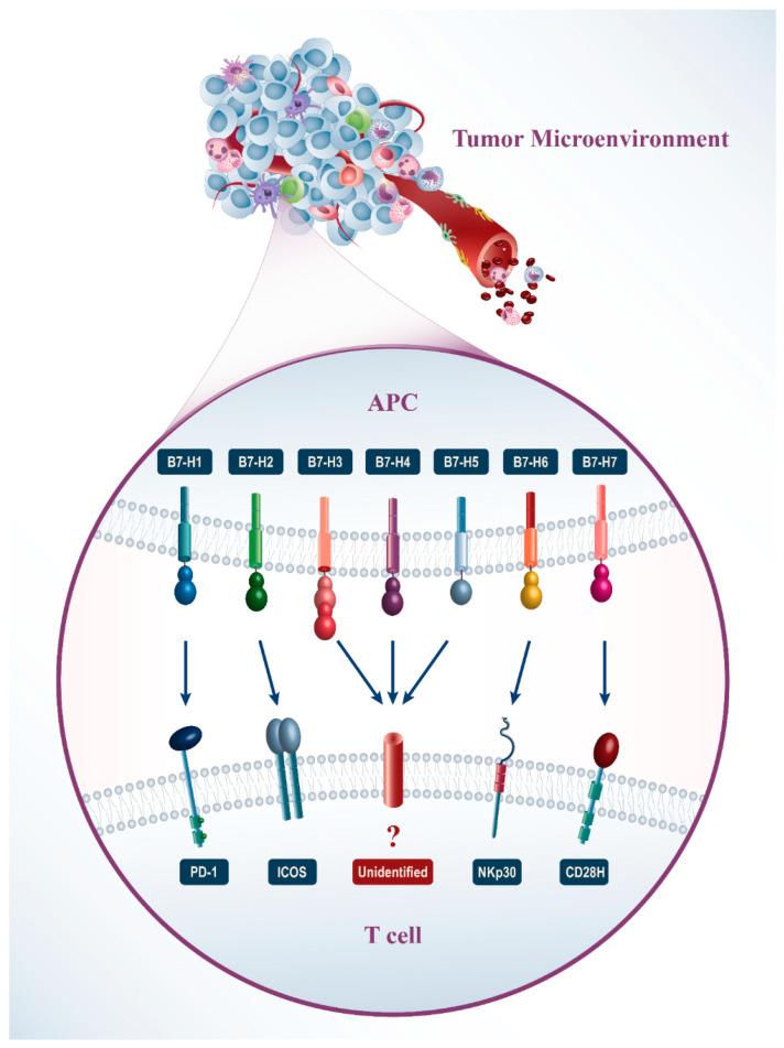 https://cdn.ncbi.nlm.nih.gov/pmc/blobs/d4e2/9182385/1f4289efe1d0/molecules-27-03545-g001.jpg