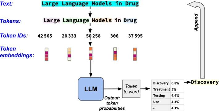 https://cdn.ncbi.nlm.nih.gov/pmc/blobs/d4e3/11984503/a5aa63575756/CTS-18-e70205-g002.jpg