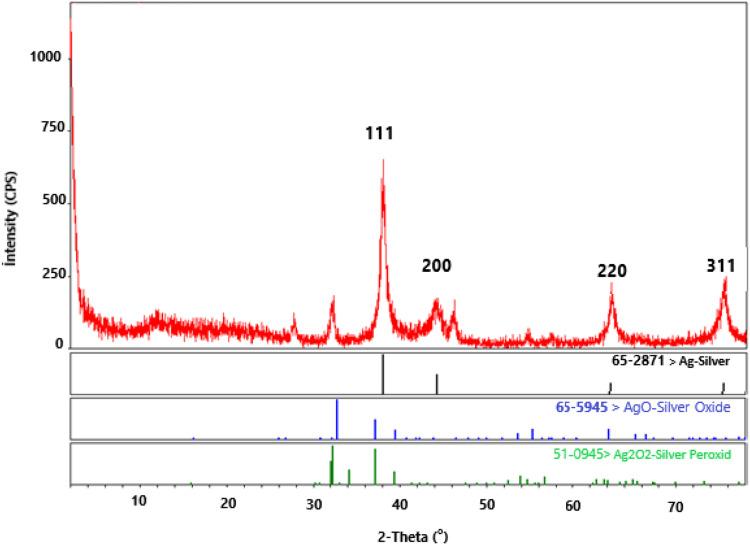 https://cdn.ncbi.nlm.nih.gov/pmc/blobs/d4e6/12002332/edca9534429c/IJN-20-4481-g0006.jpg