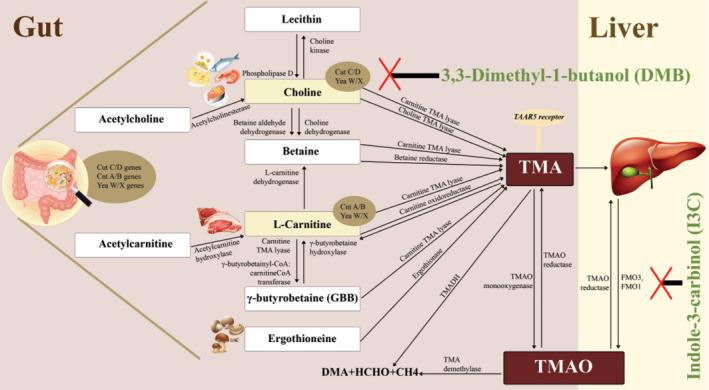 https://cdn.ncbi.nlm.nih.gov/pmc/blobs/d4e9/10655873/af9b2c6512d4/bb-2023-8893f1.jpg