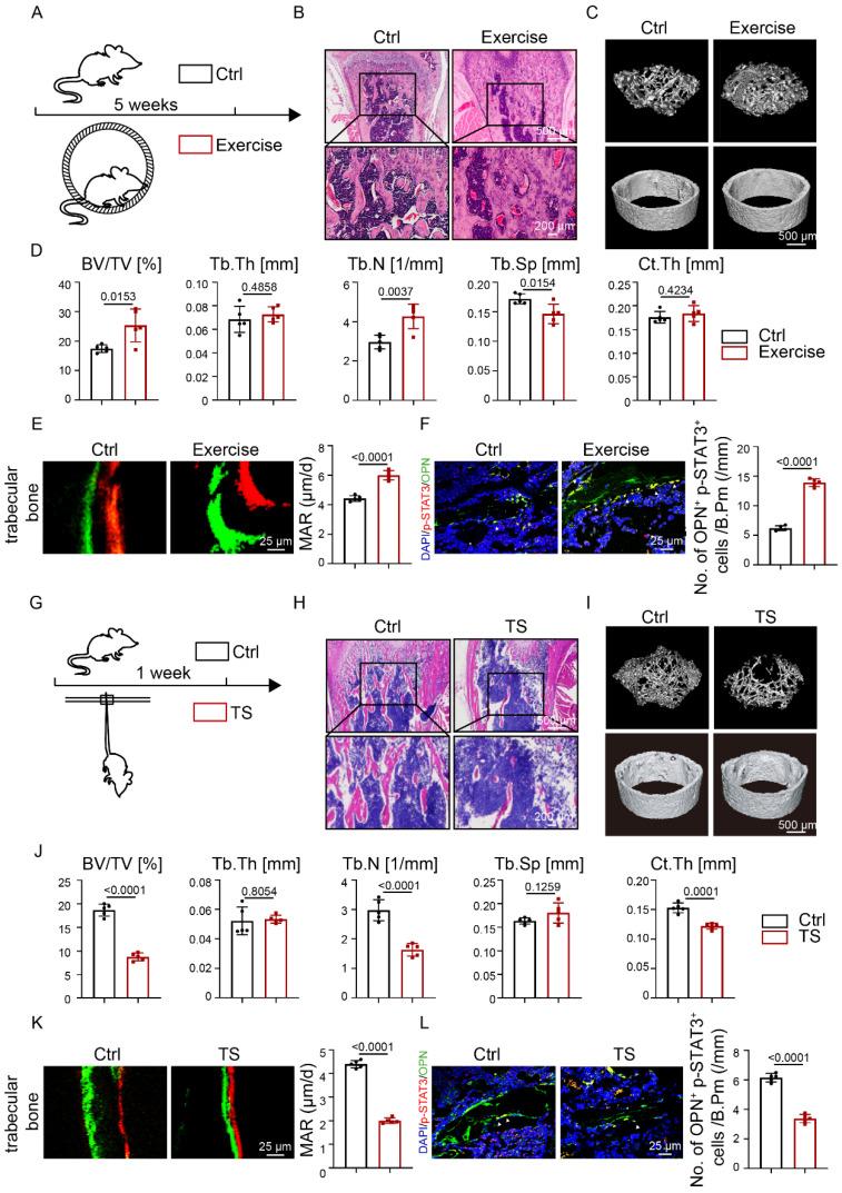 https://cdn.ncbi.nlm.nih.gov/pmc/blobs/d4ea/10158023/6b73c03541dc/ijbsv19p2021g001.jpg