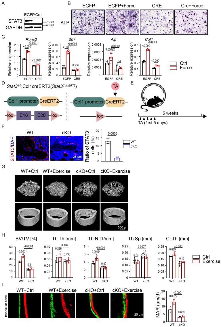 https://cdn.ncbi.nlm.nih.gov/pmc/blobs/d4ea/10158023/db39feca829a/ijbsv19p2021g004.jpg