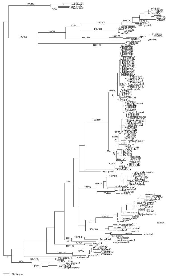 https://cdn.ncbi.nlm.nih.gov/pmc/blobs/d4ea/2585583/e02d1944db1a/1471-2148-8-302-5.jpg