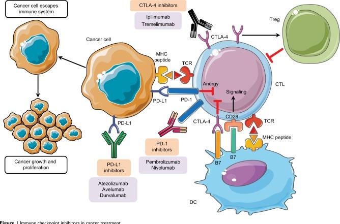 https://cdn.ncbi.nlm.nih.gov/pmc/blobs/d4ec/6340364/f83475d533c1/bctt-11-053Fig1.jpg