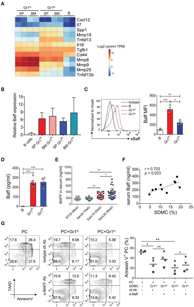 https://cdn.ncbi.nlm.nih.gov/pmc/blobs/d4ee/7904883/95314d6d0ab9/fimmu-12-631472-g0006.jpg