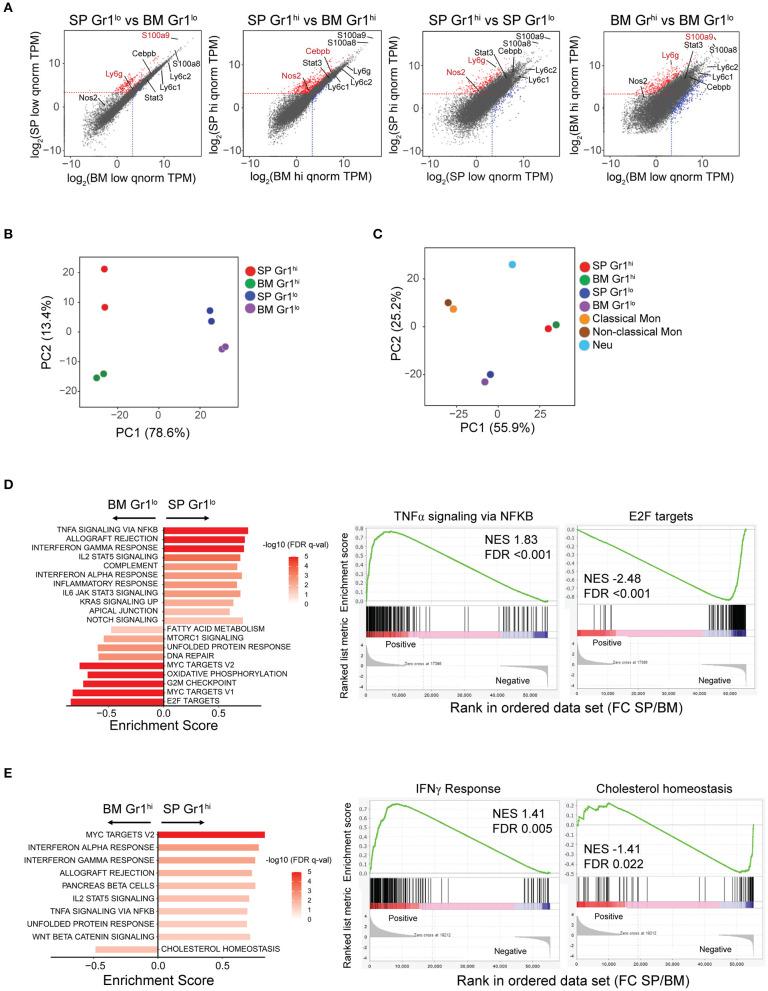 https://cdn.ncbi.nlm.nih.gov/pmc/blobs/d4ee/7904883/b4eb5ec840dd/fimmu-12-631472-g0002.jpg