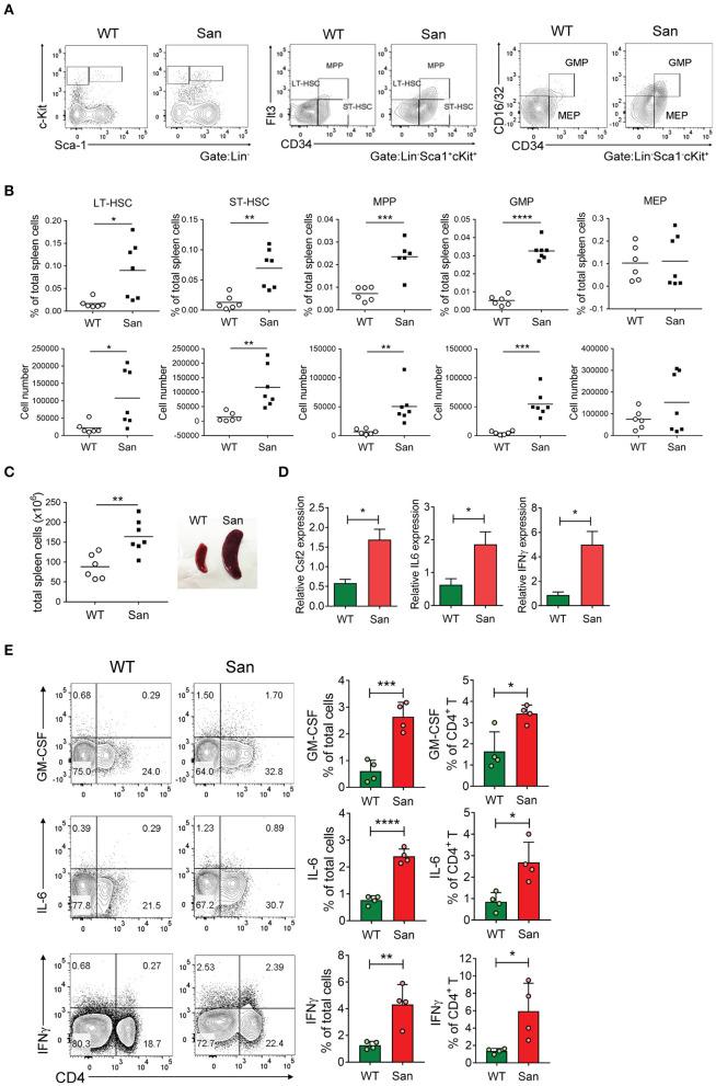 https://cdn.ncbi.nlm.nih.gov/pmc/blobs/d4ee/7904883/cbccede40166/fimmu-12-631472-g0003.jpg