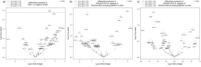 https://cdn.ncbi.nlm.nih.gov/pmc/blobs/d4f1/10991103/509bcab476b6/262_2023_3617_Fig1_HTML.jpg