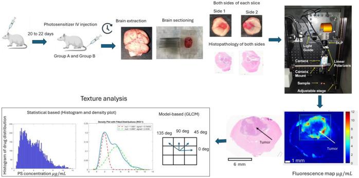 https://cdn.ncbi.nlm.nih.gov/pmc/blobs/d4f1/11724368/1f1911f1a4b9/JBO-030-018001-g001.jpg