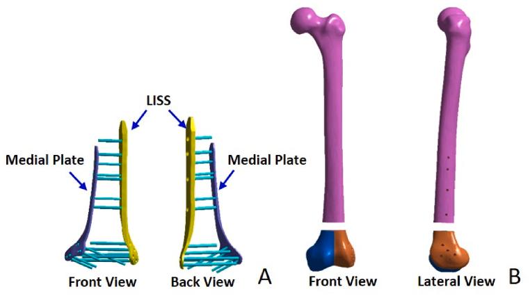 https://cdn.ncbi.nlm.nih.gov/pmc/blobs/d4f5/10884484/5410ef59e2ab/gr1.jpg