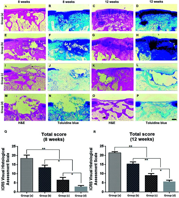 https://cdn.ncbi.nlm.nih.gov/pmc/blobs/d4f6/9048220/6638f37511df/c9ra07874f-f6.jpg