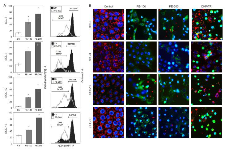 https://cdn.ncbi.nlm.nih.gov/pmc/blobs/d4f6/9312260/898387a01e3e/antioxidants-11-01416-g003.jpg