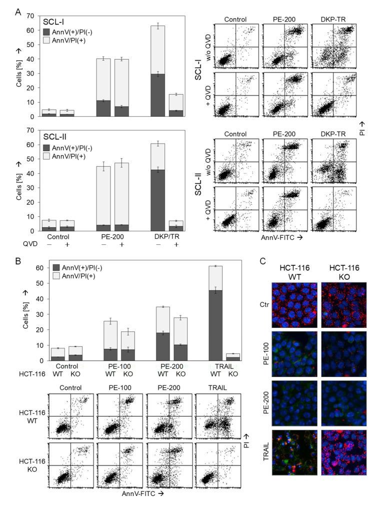 https://cdn.ncbi.nlm.nih.gov/pmc/blobs/d4f6/9312260/f9866409f8da/antioxidants-11-01416-g005.jpg