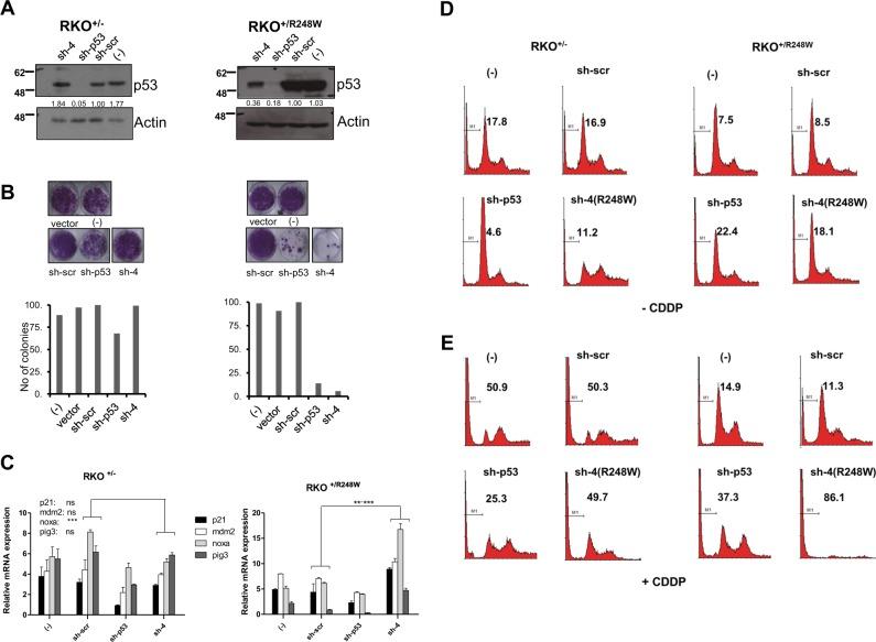 https://cdn.ncbi.nlm.nih.gov/pmc/blobs/d4f7/6756012/148c754adb7f/41388_2018_652_Fig6_HTML.jpg