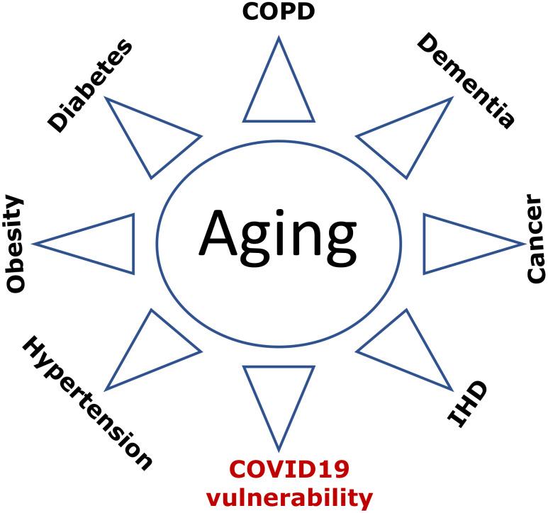 https://cdn.ncbi.nlm.nih.gov/pmc/blobs/d4f8/7346074/2f6acf363f0c/aging-12-103493-g003.jpg