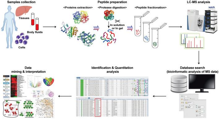 https://cdn.ncbi.nlm.nih.gov/pmc/blobs/d4f8/8492935/a415e5cdd481/fmed-08-747333-g0001.jpg