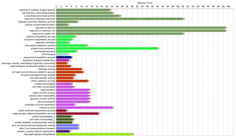 https://cdn.ncbi.nlm.nih.gov/pmc/blobs/d4f8/9220092/1944e97b4bc4/antioxidants-11-01077-g006.jpg